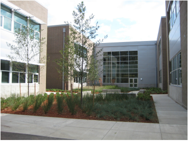 Conerstone MGI HSD South Meadows MS Exterior Courtyard