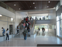 Conerstone MGI HSD South Meadows Interior Hall with Students